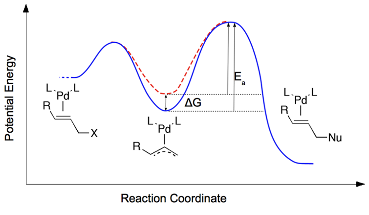 破坏Pd-allyl中间体的稳定性，增强了烯丙基的烷烃化的催化作用